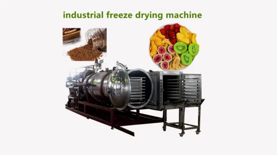 Small Fruit and Vegetabel Freeze Dryer