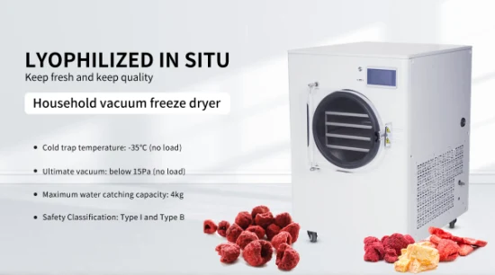 Home Lyophilization Homemade Food Freeze Dryer Household Vacuum Pump Freeze Dryer