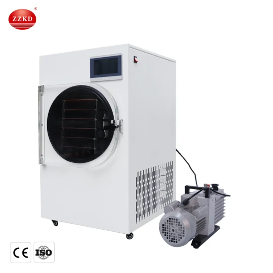 Home Freeze Dried Food Vacuum Lyophilizer Price Fruit Mini Vegetable Freeze Drying Machine Freeze Dryer with CE Proved