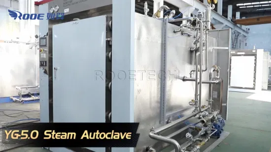 Yg Series Industrial Equipment Pulsating Vacuum Autoclave Steam Sterilization for Dressing